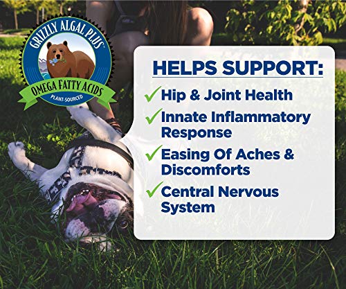 Vegan Omega 3-6-9 Algal Oil for Pets