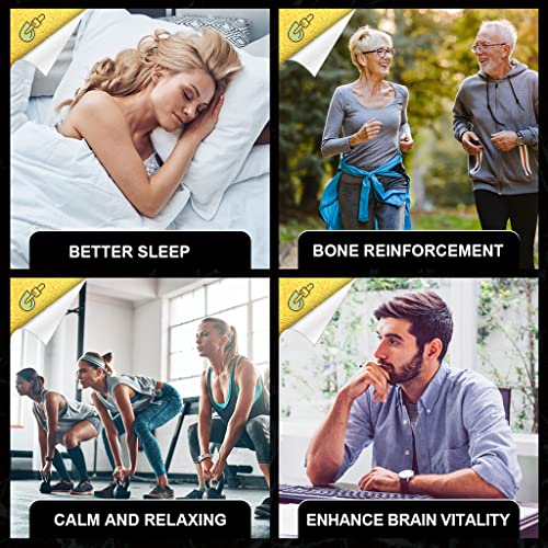 High Potency Vegan Hemp Oil - 3-Pack