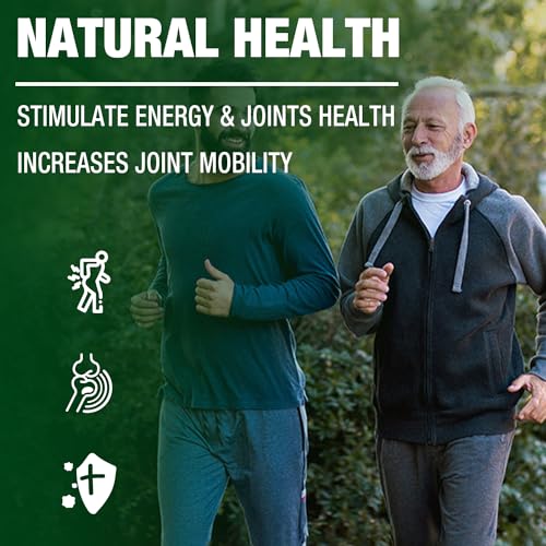 Organic Vegan Omega 3 Hemp Oil - 3 Pack