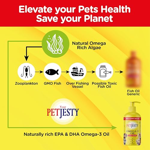 Vegan Omega 3 Oil for Pet Health Support