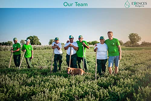 Organic Cold-Pressed Walnut Oil - 250ml Vegan