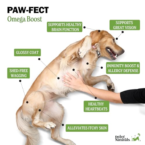 Vegan Omega 3 for Dogs - 32oz Supplement