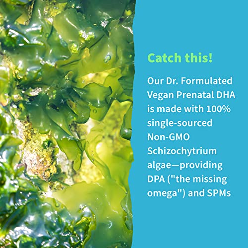 Vegan DHA Omega 3 Supplement - 400mg Algal Softgels