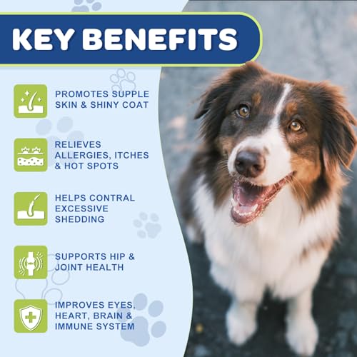 Vegan Omega 3 for Dogs – Skin & Coat Support