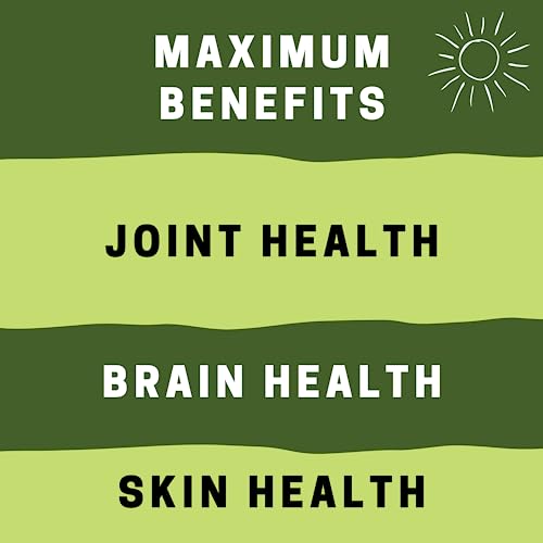 Award-Winning Vegan Omega 3 Softgels - 90ct