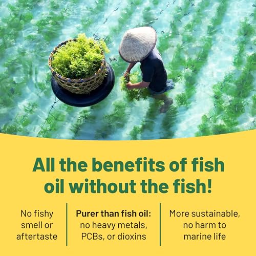 Vegan Omega 3 Algae Oil - 400mg DHA Softgels
