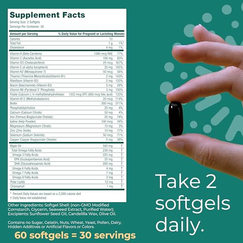 Vegan Omega-3 Prenatal Multivitamin Softgels - 60ct