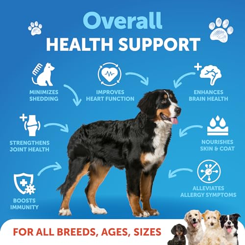 Vegan Omega 3 Oil for Dogs - Skin & Joints