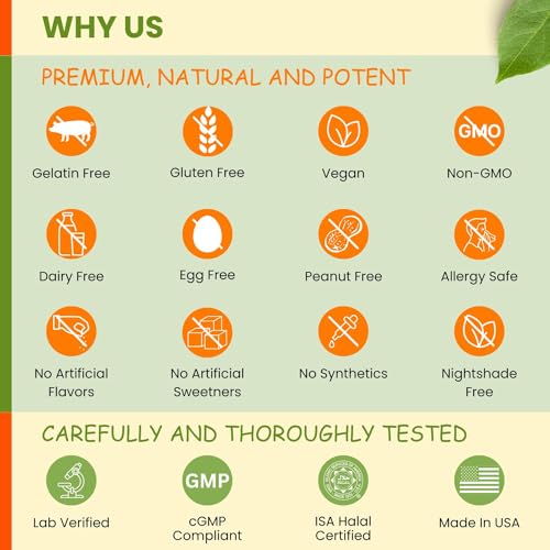 Vegan Omega 3 Gummies for Brain & Heart Health