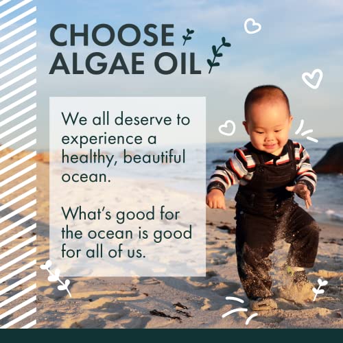 Vegan Prenatal Omega 3 DHA for Brain Support