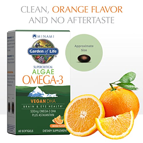 Vegan Algae Omega-3 DHA for Brain Health