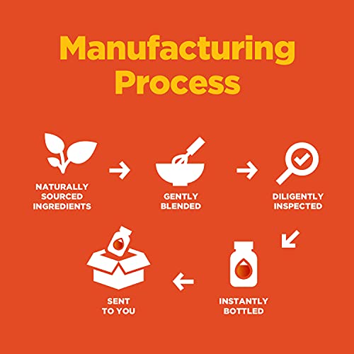 Delicious Vegan DHA Omega 3 Gummies for Adults