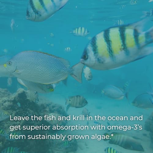 Plant-Based Omega-3 Softgels for Whole-Body Support