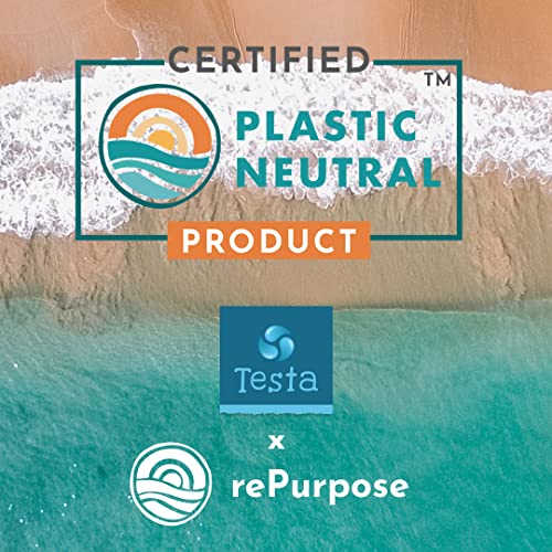 Vegan Omega 3 Algae Capsules for Brain Health