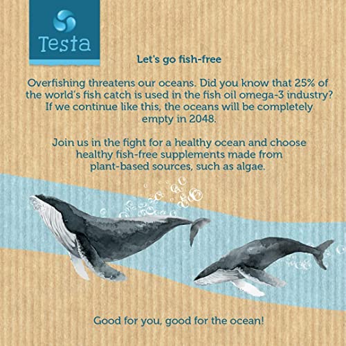 Vegan Omega 3 Algae Capsules for Brain Health