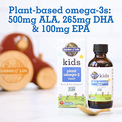 Garden of Life Vegan Omega-3 for Kids 2 Fl Oz