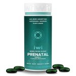 Vegan Omega-3 Prenatal Multivitamin Softgels - 60ct