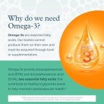 Vegan Algae Omega 3 - EPA & DHA Softgels