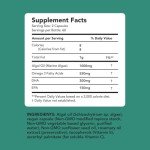 Vegan Omega 3 Algae DHA & EPA Supplement