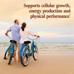 Garden of Life Vegan Omega 3 Supplement, 60 Capsules