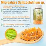 Sugar-Free Vegan Omega 3 Gummies - 1280mg