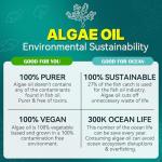 Vegan Omega 3 Gummies with DHA & EPA