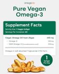 Vegan Omega 3 Algae Supplement - 60 Softgels