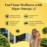 Vegan Algae Omega 3 Supplement - 1000 mg 60 Softgels
