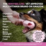 Vegan Omega-3 Multivitamin Supplement for Dogs