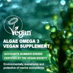 Sugar-Free Vegan Omega 3 Gummies with DHA & EPA