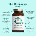 Vegan Omega-3 Blue-Green Algae Superfood Capsules