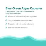 Vegan Omega-3 Blue-Green Algae Superfood Capsules