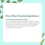 Vegan Omega-3 Blue-Green Algae Superfood Capsules
