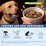 Vegan Omega 3 for Dogs – Skin & Coat Support