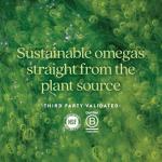 Vegan Omega-3 DHA, EPA & DPA Softgels - 30 Count