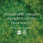 Vegan Prenatal Omega-3 DHA/EPA Supplement - 30 Softgels