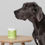 Vegan Omega Oil Chews for Dogs - 60 Soft Bites
