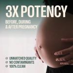 Vegan Prenatal DHA Omega-3 - 120 Mini Softgels