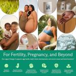 Vegan Omega 3 DHA EPA Supplement - 500MG Algae Oil