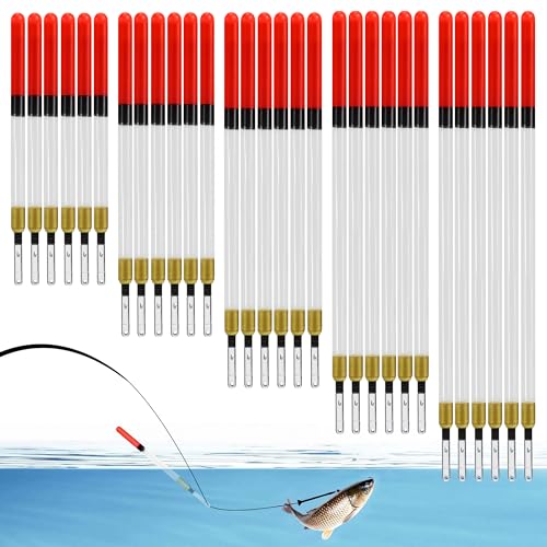 30 Pcs Clear Waggler Fishing Floats - 5 Sizes