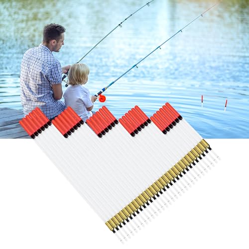 30 Pcs Clear Waggler Fishing Floats - 5 Sizes