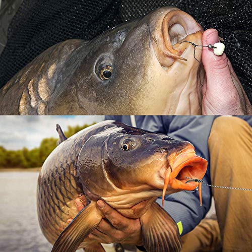 OROOTL Carp Fishing Hair Rigs Kit with Accessories