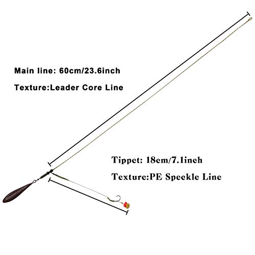 Carp Fishing Hair Rig Set with Hooks & Weights