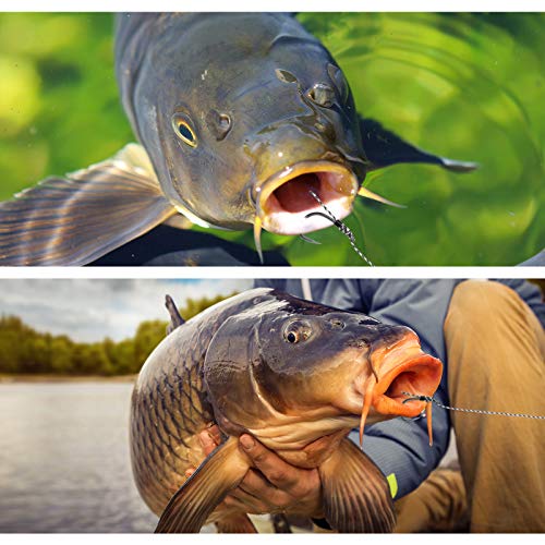 Luroad Carp Fishing Hair Rigs - 20 Pieces