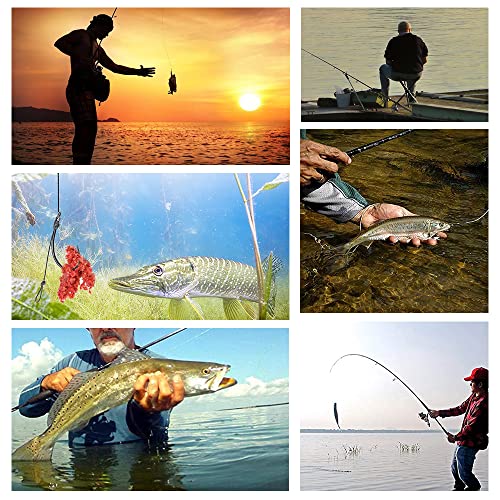 12 PCS Barbless Curve Shank Carp Fishing Hooks
