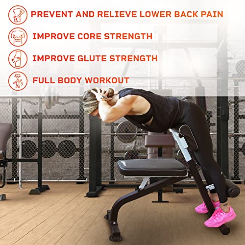 Lifepro SculptTrainer Adjustable Hyperextension Bench for Home Gym