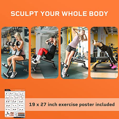 Lifepro SculptTrainer Adjustable Hyperextension Bench for Home Gym