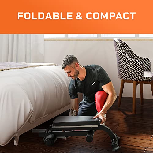 Lifepro SculptTrainer Adjustable Hyperextension Bench for Home Gym