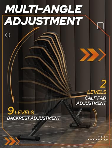 Foldable Weight Bench for Home Gym Training