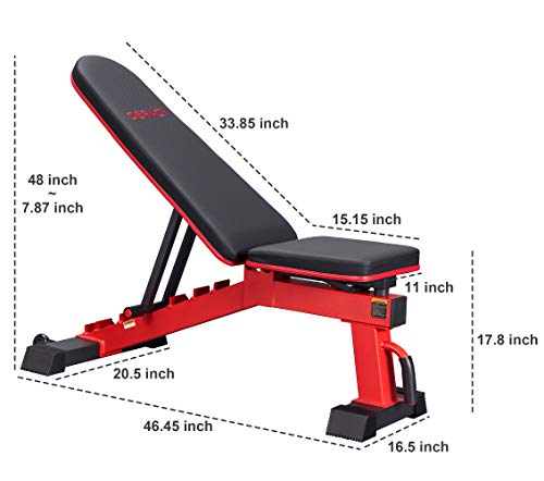 Adjustable Weight Bench for Full Body Workouts